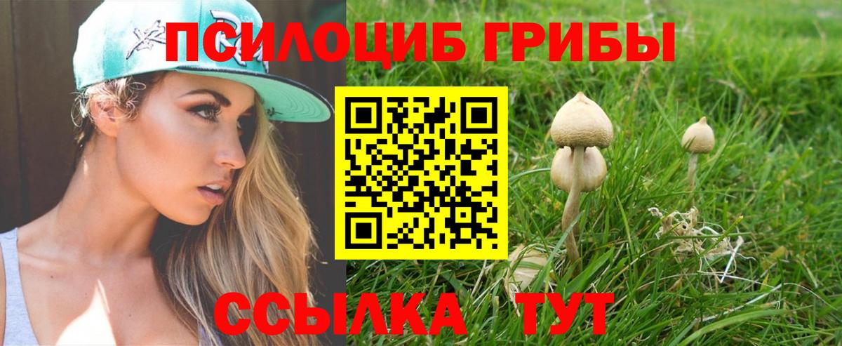 Псилоцибиновые грибы ЛСД Кропоткин